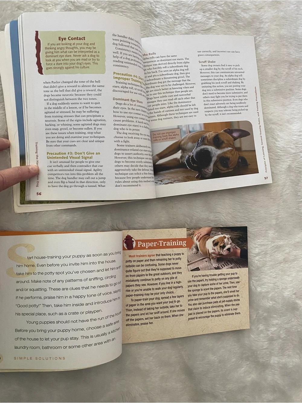 Two Dog Training Books